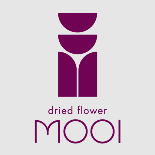 MOOI -selfphoto studio-